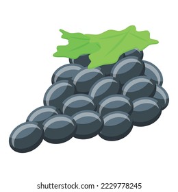 Red grapes icon isometric vector. Sommelier wine. Alcohol bottle