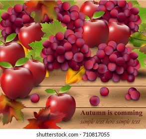 Red grapes on wood background. Season harvest Vector realistic illustrations