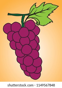 Red grapes vector hand drawn image. Yellow background.