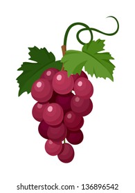 Red grapes. Vector illustration.