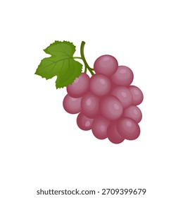 Uvas rojas. Ilustración vectorial de bayas.