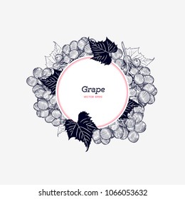 Red grapes. Vector illustration. . Hand drawn engraving style illustrations.