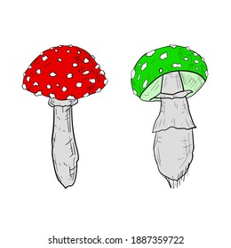 Red and green amanita. Vector cartoon illustrations. Isolated objects on a white background. Hand-drawn style.