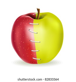 Red and green apple combination Vector