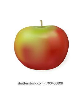 Red and green Apple. Isolated. Vector illustration. Graphic design.