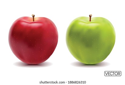 Red and green apple on a white background. vector eps
