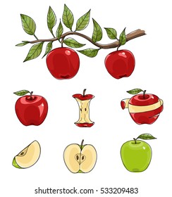 Red and green apples set hand drawn vector art illustration
