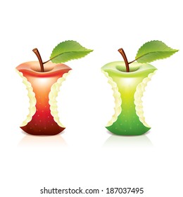 Red and green bitten apple isolated photo-realistic vector illustration
