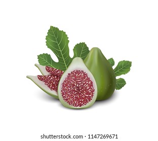Red and Green Fig. Realistic 3d Figs With Leaves. Detailed 3d Illustration Isolated On White. Design Element For Web Or Print Packaging. Vector Illustration. 