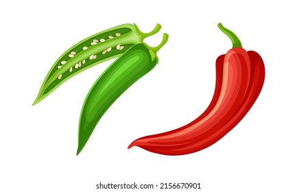 Red and green fresh chili pepper. Healthy spicy vegetables set vector illustration