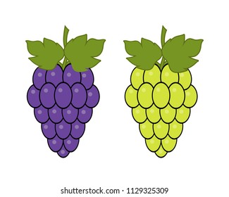 Red and green grapes on white background, grape types set. Logo design, vector illustration. Wine vector logo art