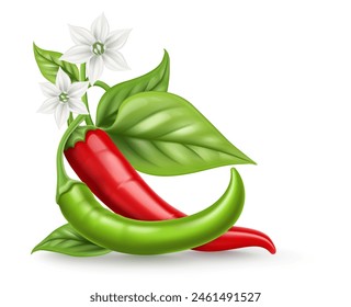Red and Green Hot chili pepper pods with green leaves white flower. Realistic Spicy vegetable, mexican cooking ingredient for salsa. Isolated on background. Vector illustration.