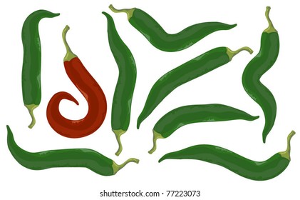 Red and green hot and spicy chilli peppers . Vector.