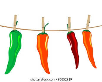 Red, green and orange chilli peppers on the rope