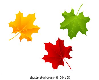 Red, green and orange maple leaves. Vector illustration.