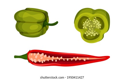 Red and Green Pepper as Ripe Vegetable and Organic Food Vector Set