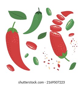 Pimientos rojos y verdes. Ilustración vectorial de chile entero, chile cortado y chile en polvo.