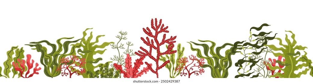 Red and green seaweed. Kelp. Seamless border at the bottom. Horizontal banner. Small and large algae. Underwater marine plants. Diverse sea and ocean ecosystem. Vector illustration.