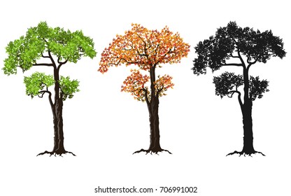 red, green and silhouettes tree isolated on white background, vector illustration