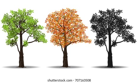 red, green and silhouettes tree isolated on white background, vector illustration