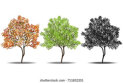 red, green and silhouettes tree isolated on white background, vector illustration