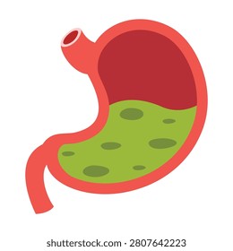 Red and Green Stomach CrossSection