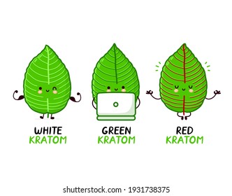 cepas rojas, verdes y blancas de kratom. Cute divertida colección de juego de caracteres kratom leaf. Dibujo de línea plana vectorial kawaii icono de ilustración de personaje. Aislado sobre fondo blanco