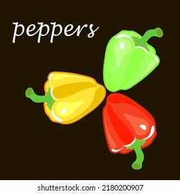 red green and yellow bell pepper vector illustration of the logo icon