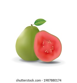 Red Guava Healthy Organic Fresh Fruit Summer Isolated Vector Illustration