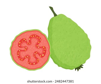 Red guava illustration. Fresh ripe guava fruit in cut isolated on white background. Juicy tropical fruit