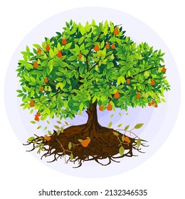 Red guava tree plant vector illustration