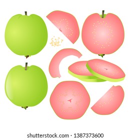 Red guava vector illustration set. Whole, sliced and halved Red guava graphics.