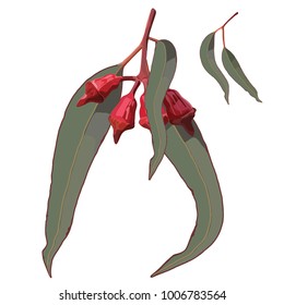 Red Gum Tree Nuts With Leaves Realistic Vector 