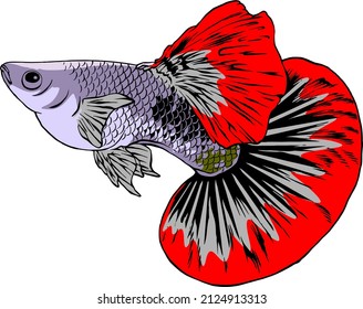 red guppies vector
for logos, t-shirts and anything