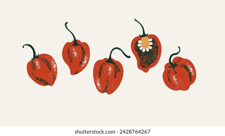 Red habanero peppers collection. Hot pepper set