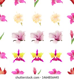 Red Haemanthus Blood Lily. Pink Bauhinia Purpurea. Red and Pink Ginger. Yellow hibiscus. Pink Magnolia. Pink Orchid. Vector illustration. Seamless background pattern. Floral botanical flower. Wild.
