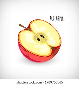 Red halved apple fruit with seeds in flat style on white background. Side view. Lettering Red Apple. Hand drawn element for natural organic food designs. Vector illustration.