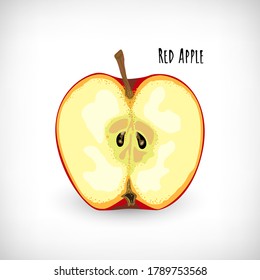 Red halved apple fruit with seeds in flat style on white background. Lettering Red Apple. Hand drawn element for natural organic food designs. Vector illustration.