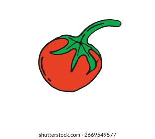 Vector de tomate vegetal dibujado a mano rojo