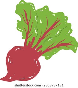 Red Handdrawn Organic Beat Root