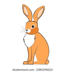 Red hare on white background