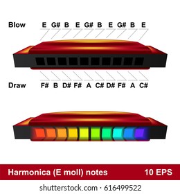 Red harmonica (harp) in E moll with notes. Vector illustration isolated on white background