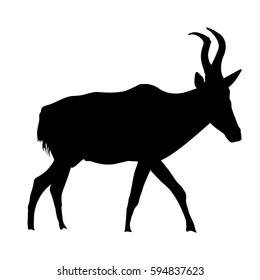 Red hartebeest - Silhouette - digitally hand drawn Vector Illustration