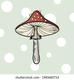 red hat vector mushroom in soft green background with white bubbles