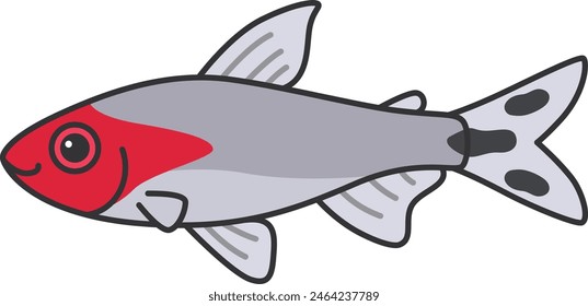 Red  headed tetra vector illustration