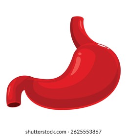Red healthy human stomach, representing digestive system and healthcare