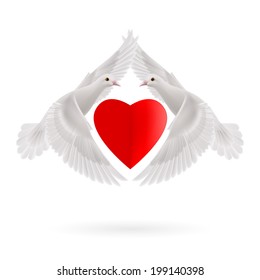 Red heart between two white  flying doves