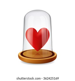 red heart in glass display dome 