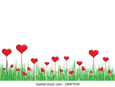 red heart in green grass