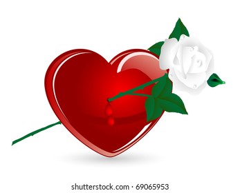 Red heart pierced by white rose